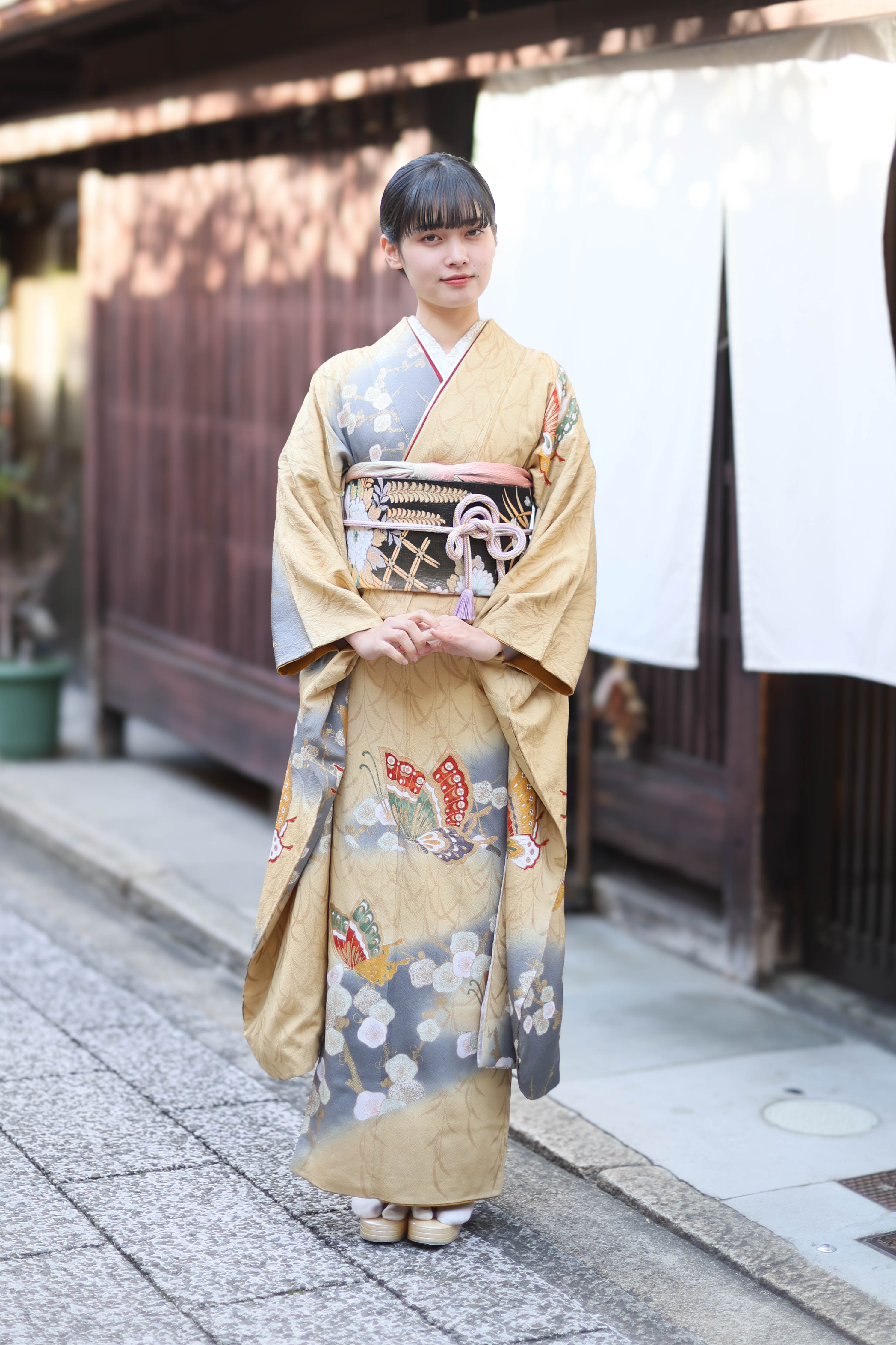 香色ぼかしに梅と蝶